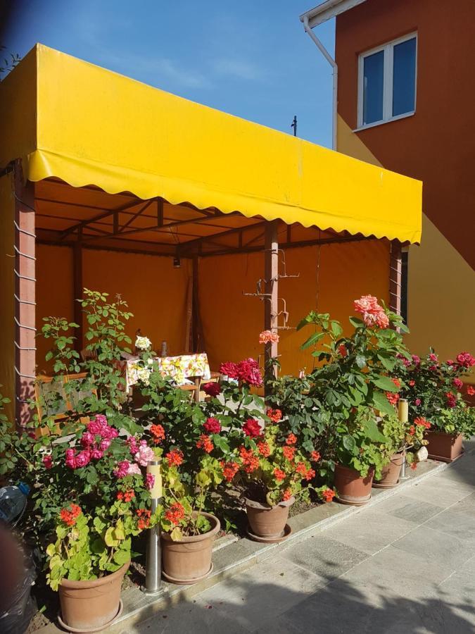 Hotel Vila Cozia à Eforie Nord Extérieur photo